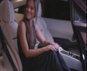 Аристократы ебутся в машине